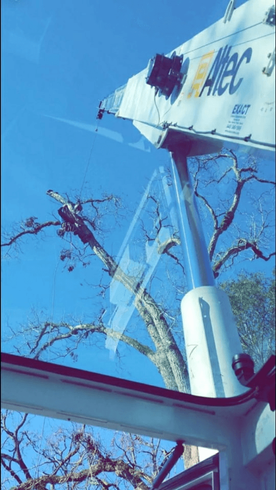 Crane truck on residential street handling tree work