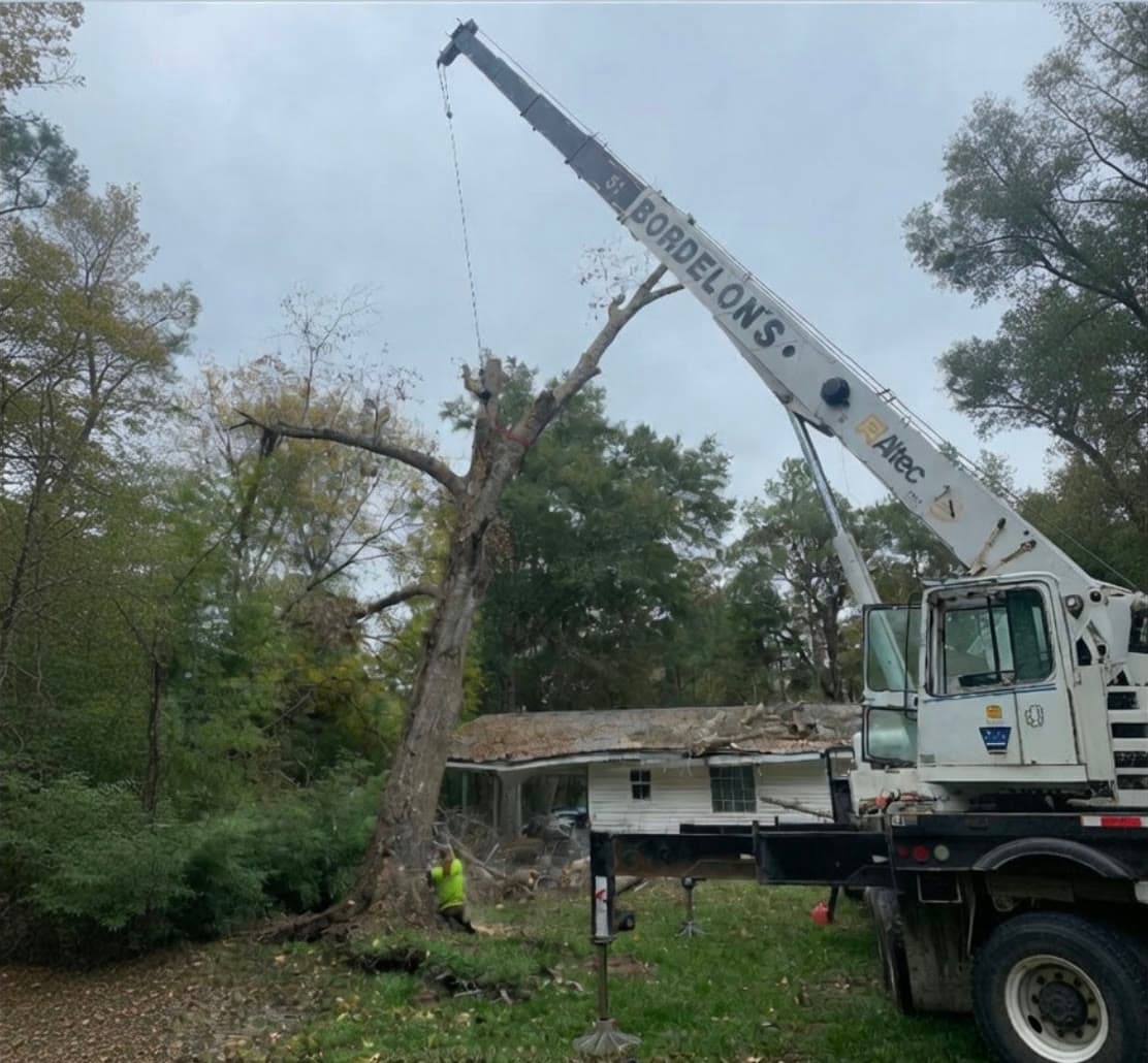 Crane lifting a tree section from above a house