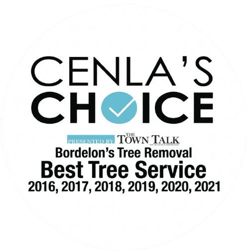 Cenla's Choice Best Tree Service award badge for years 2016 through 2021