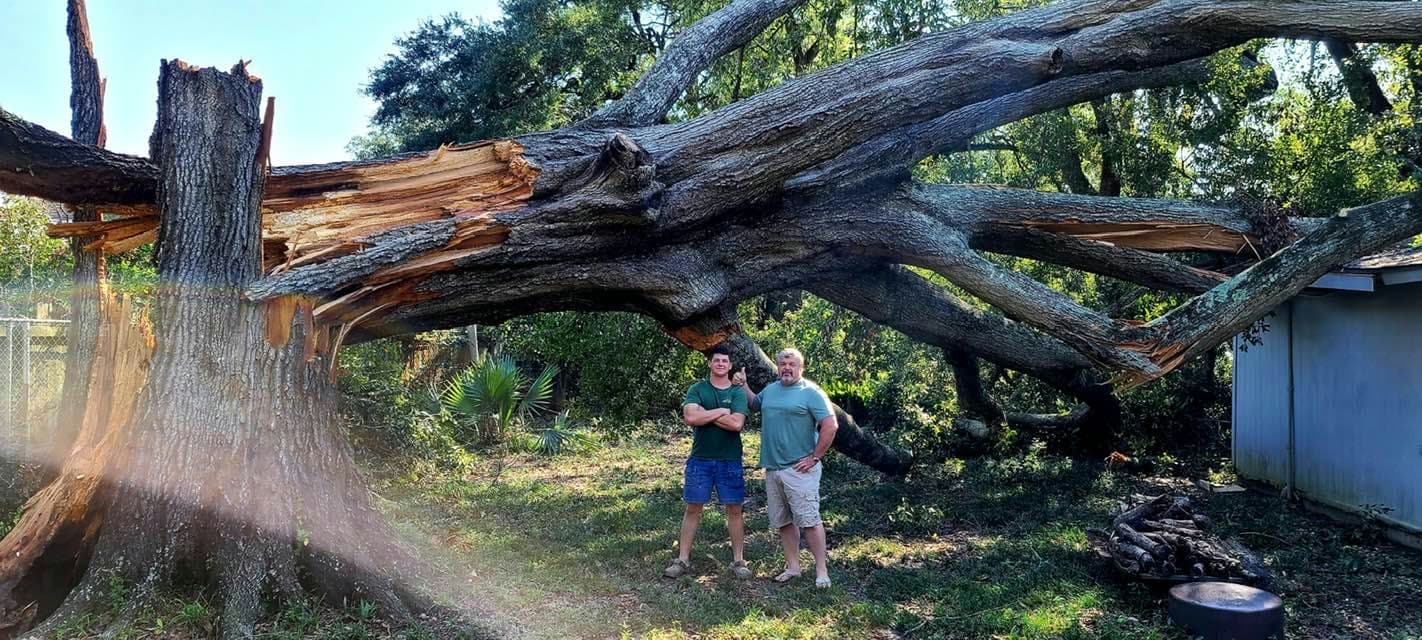 Large storm-broken tree showing severity before cleanup