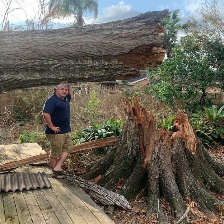 Owner beside a large removed tree trunk