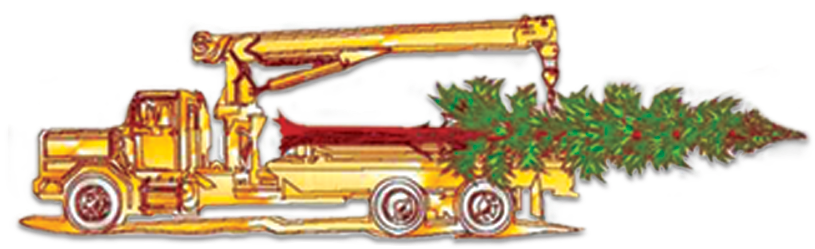 Bordelon's Tree Removal